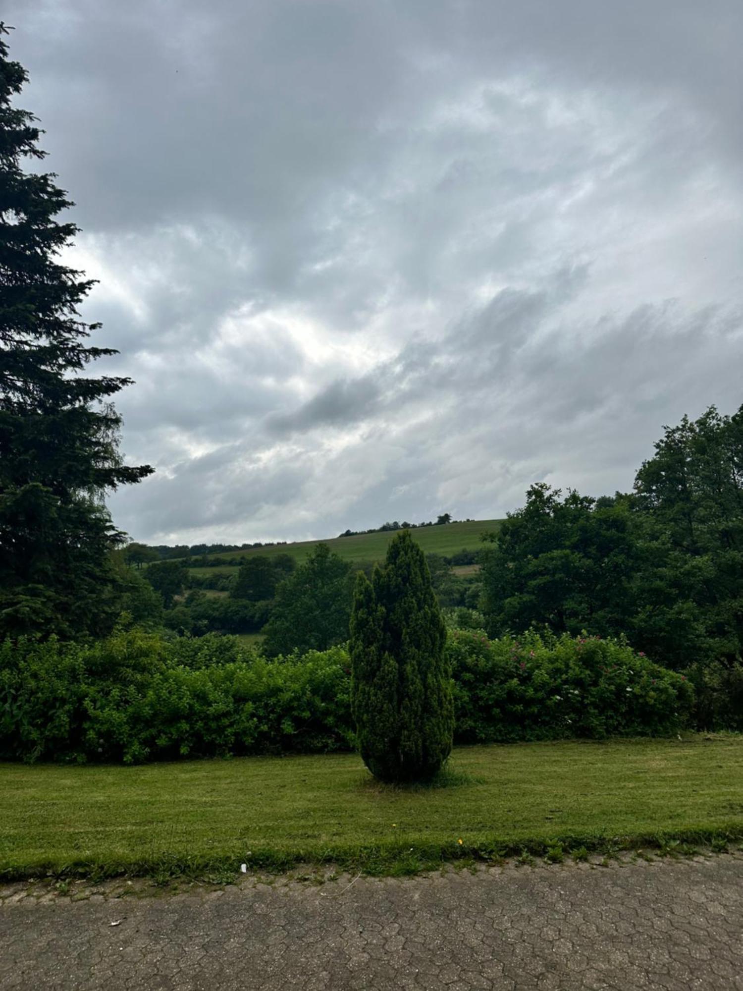 Morgenbluete * Gondenbrett
